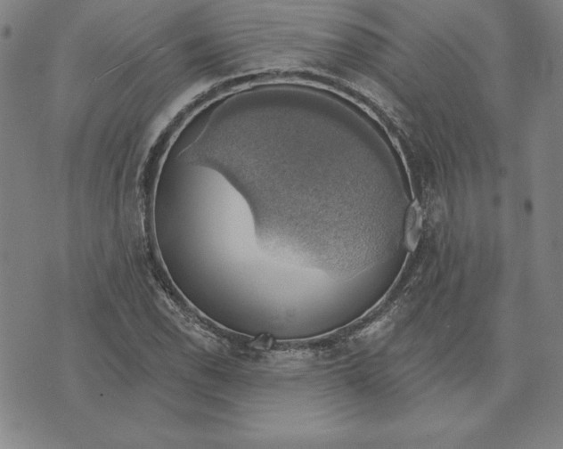 X0000071911118200607281821