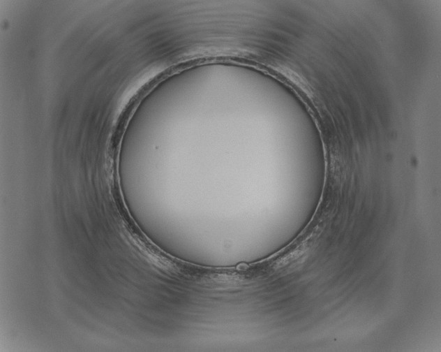 X0000071911119200607281821