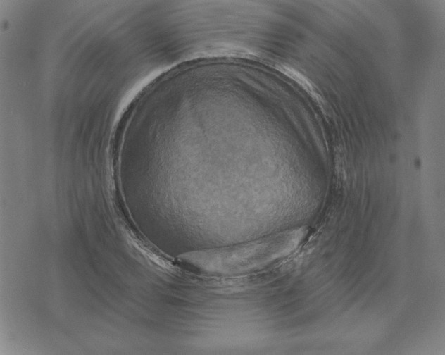 X0000071911120200607281821