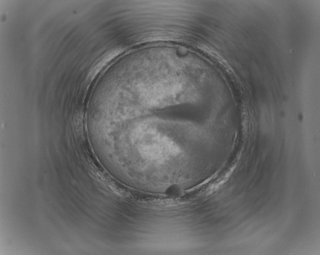 X0000071911121200607281821