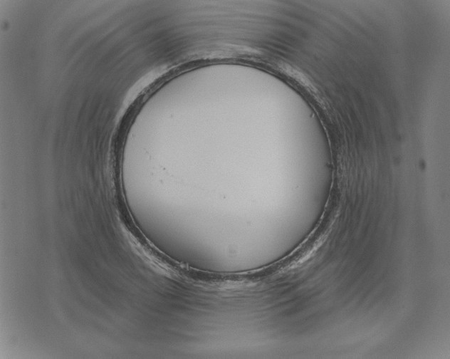 X0000071911122200607281821