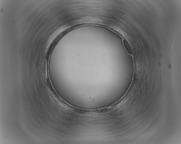 X0000071911123200607281821