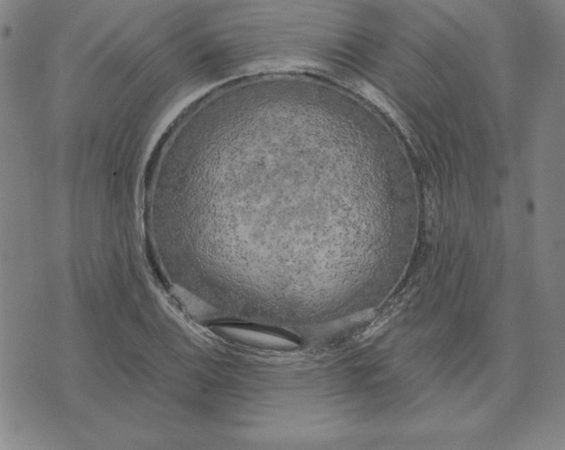 X0000071911124200607281821