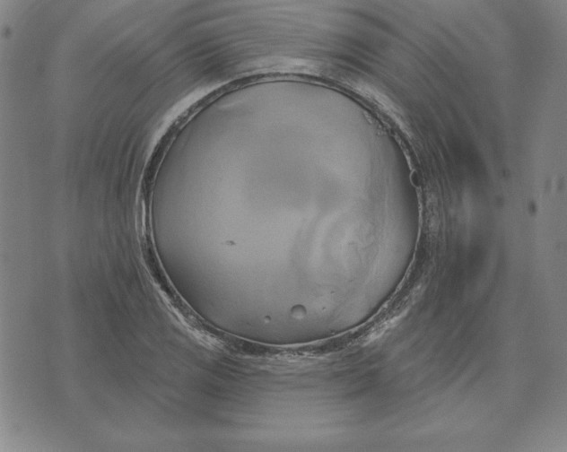 X0000071911125200607281821