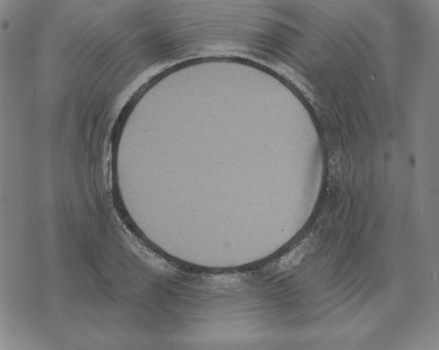 X0000071911126200607281821