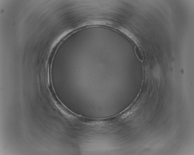 X0000071911127200607281822