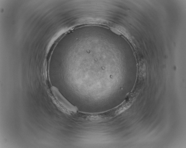 X0000071911128200607281822