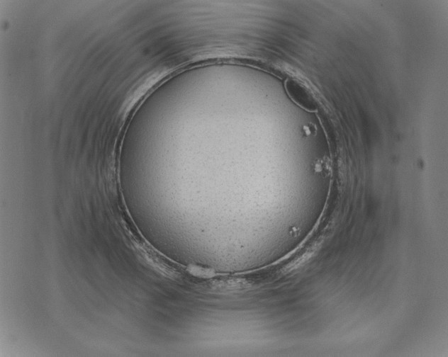 X0000071911129200607281822