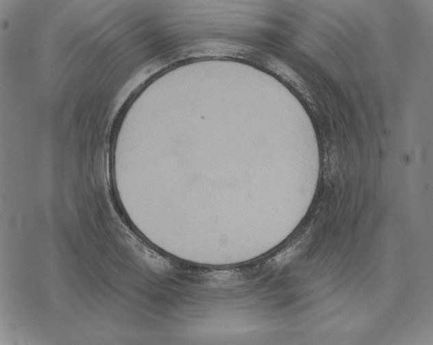 X0000071911130200607281822