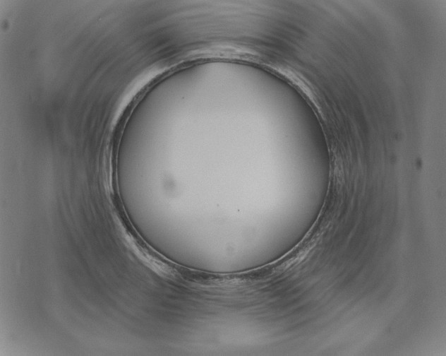 X0000071911131200607281822