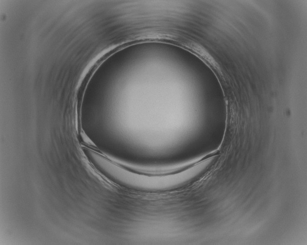 X0000071911132200607281822