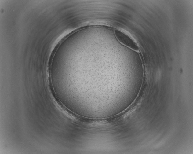 X0000071911133200607281822