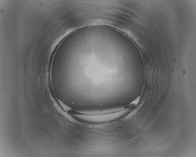 X0000071911134200607281822