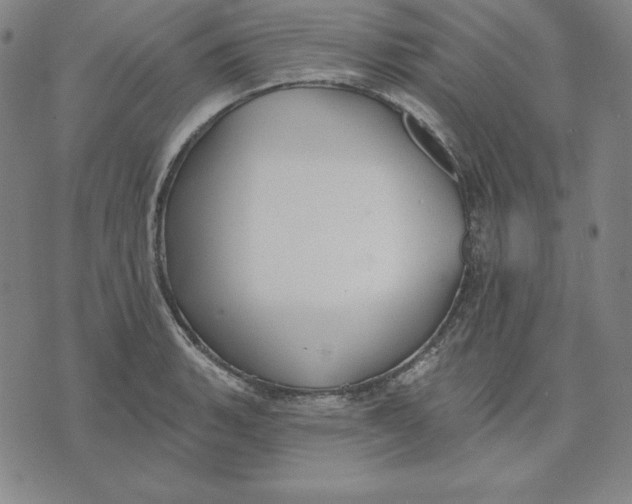 X0000071911135200607281822