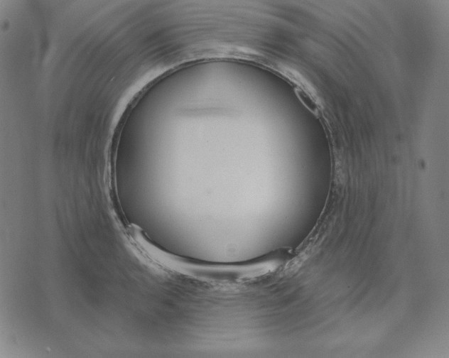 X0000071911136200607281822