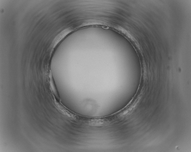 X0000071911137200607281822