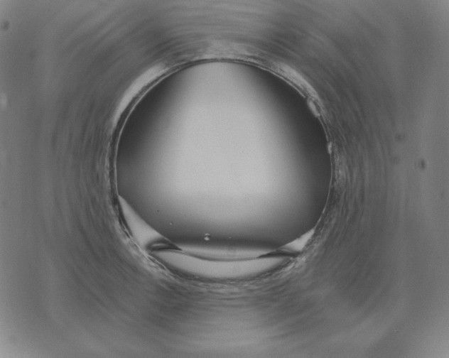 X0000071911138200607281822