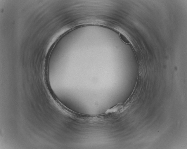 X0000071911139200607281822