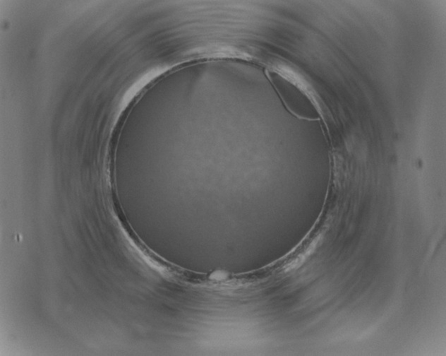 X0000071911141200607281822