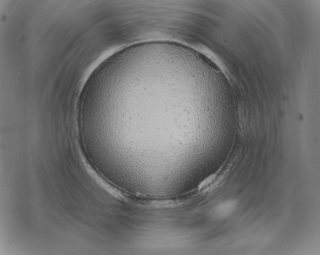 X0000071911142200607281822