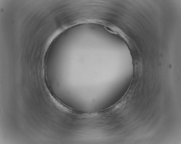 X0000071911143200607281822