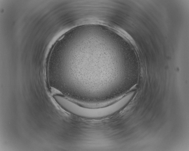 X0000071911144200607281822