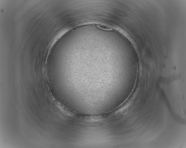 X0000071911145200607281822