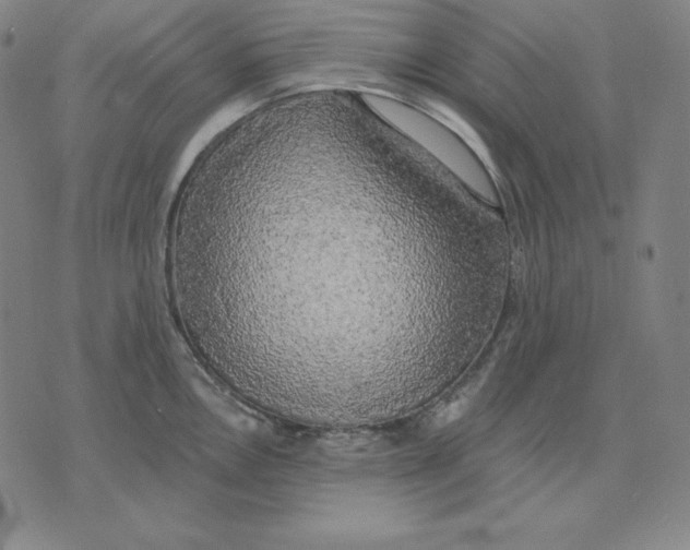 X0000071911146200607281822