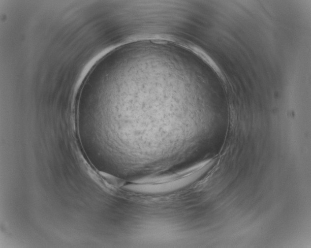 X0000071911148200607281822