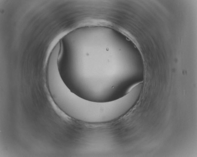 X0000071911152200607281822