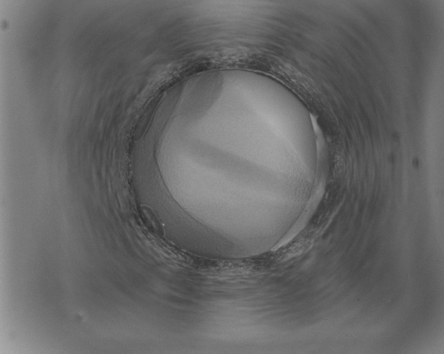 X0000071911153200607281821