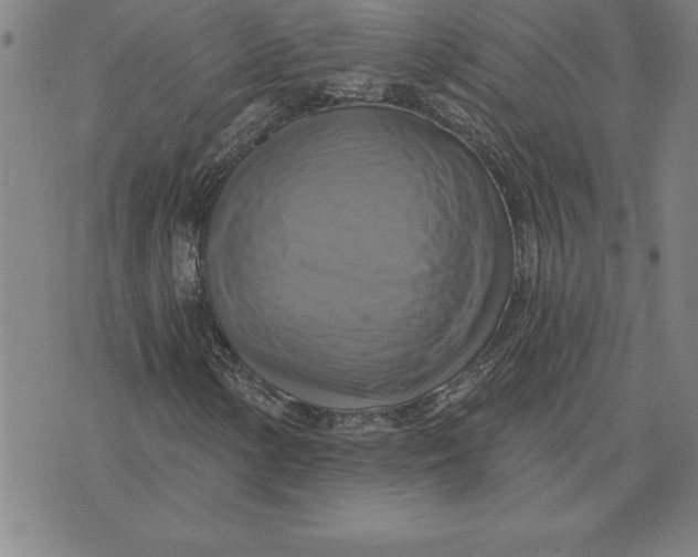 X0000071911154200607281821