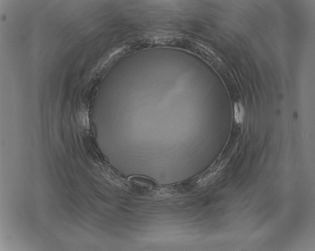 X0000071911155200607281821