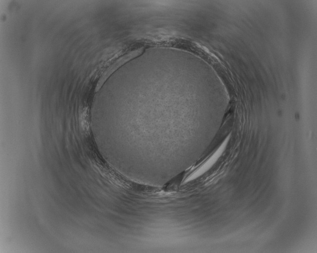 X0000071911156200607281821