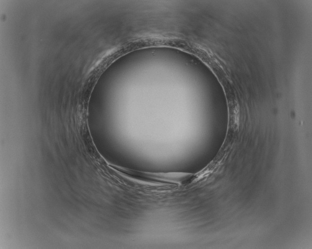 X0000071911157200607281821