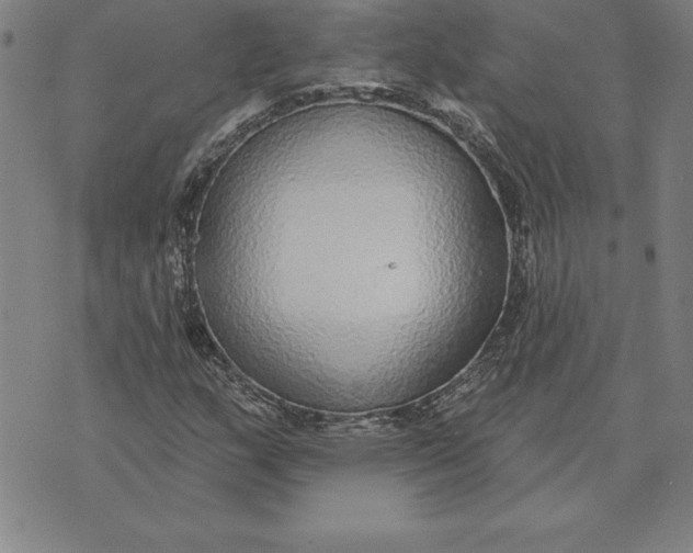 X0000071911159200607281821