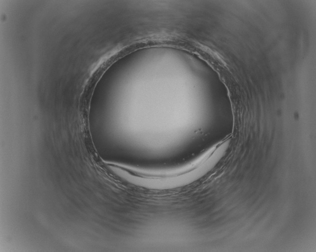 X0000071911160200607281821