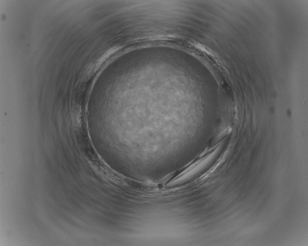 X0000071911161200607281821