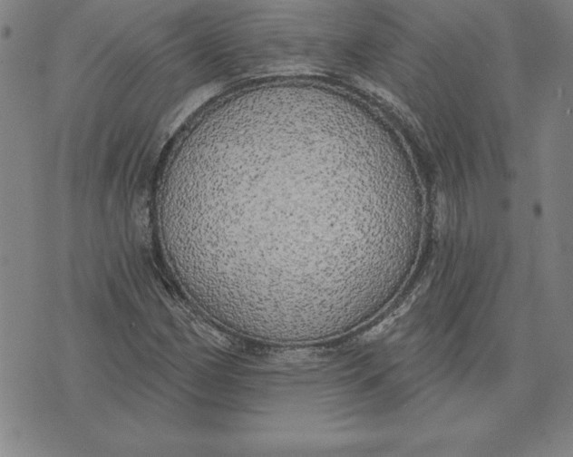 X0000071911162200607281821