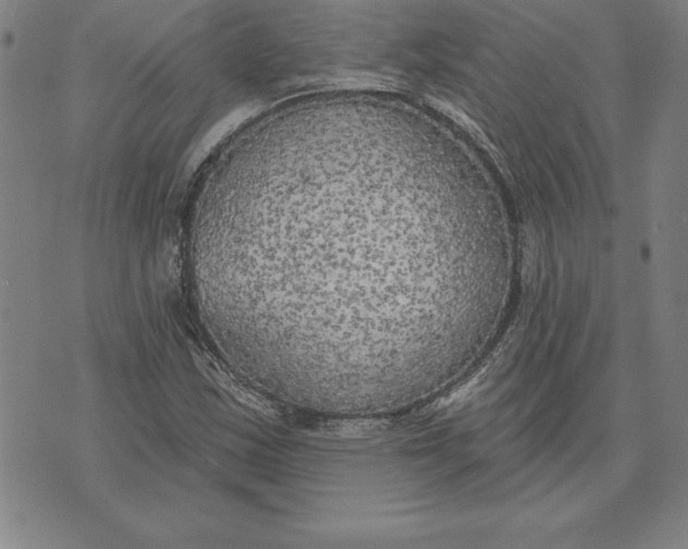 X0000071911163200607281821