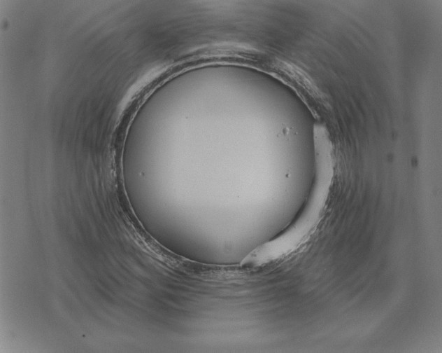 X0000071911164200607281821