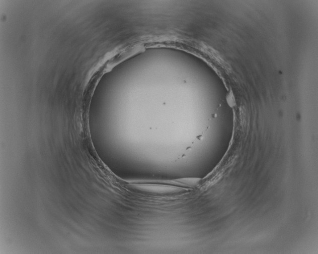 X0000071911165200607281821