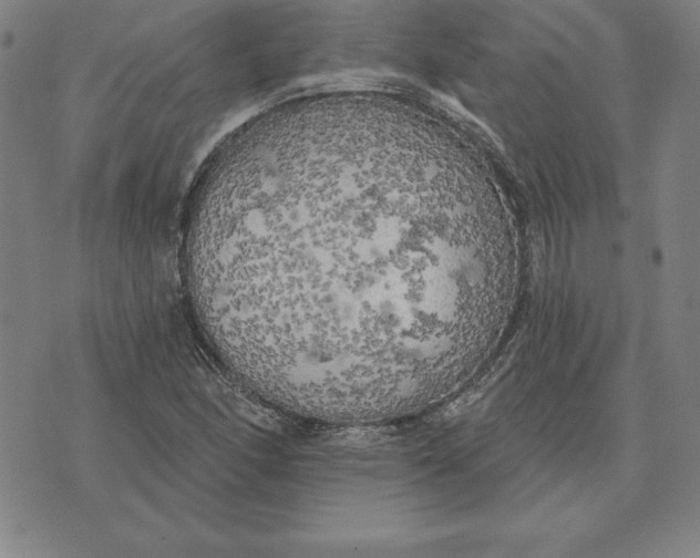 X0000071911166200607281821