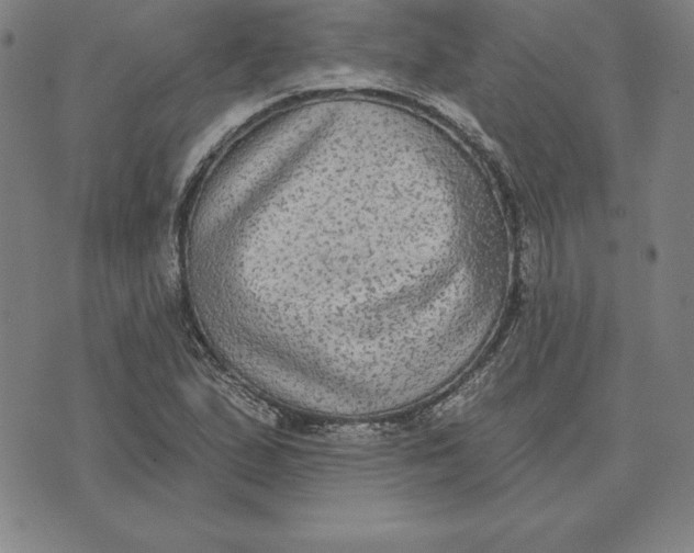 X0000071911167200607281821