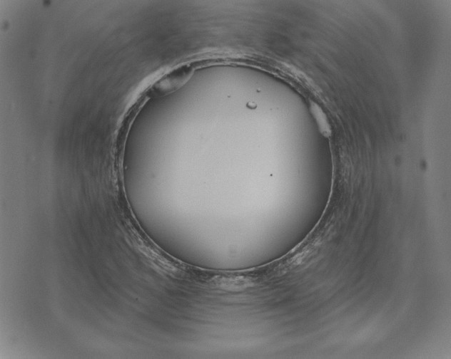 X0000071911168200607281821