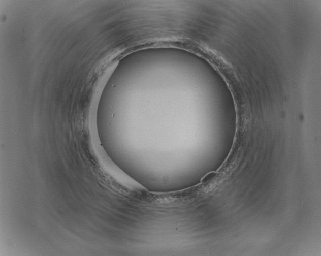 X0000071911169200607281821