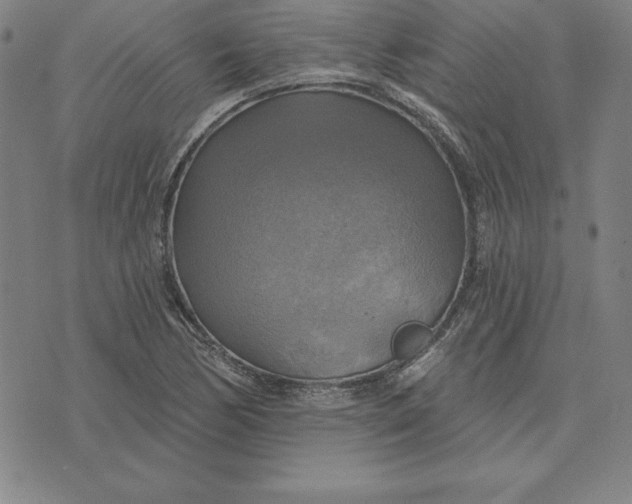 X0000071911170200607281821