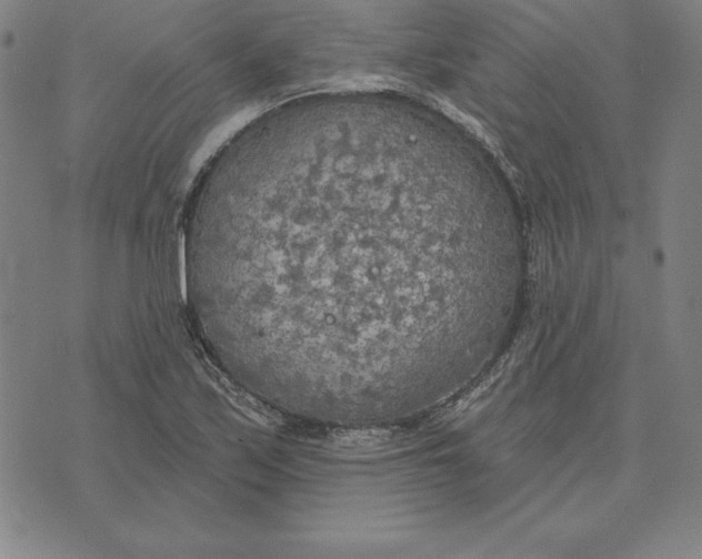 X0000071911171200607281821