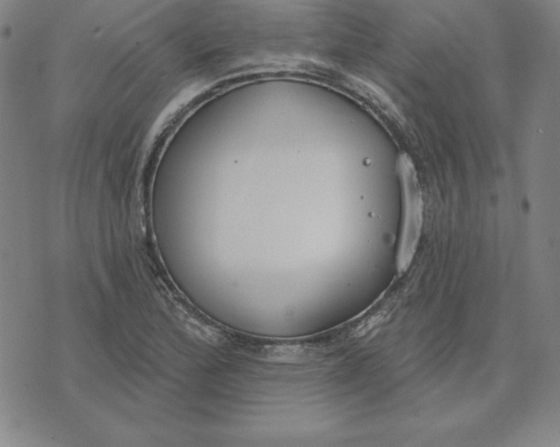 X0000071911172200607281821