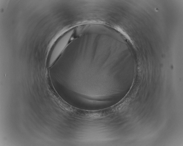 X0000071911173200607281821